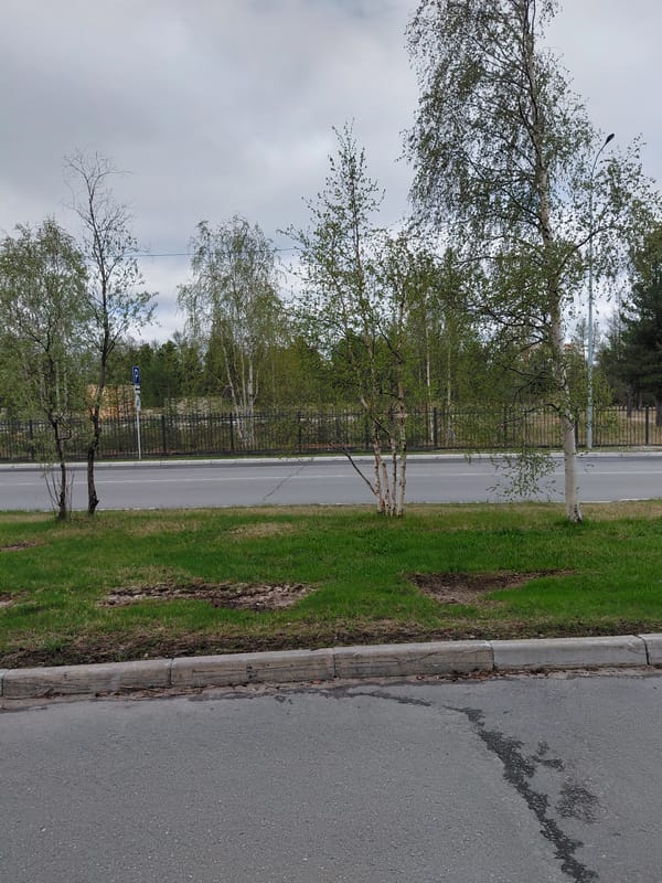 Morning documentation of urban scenes in Nadym, Russia
