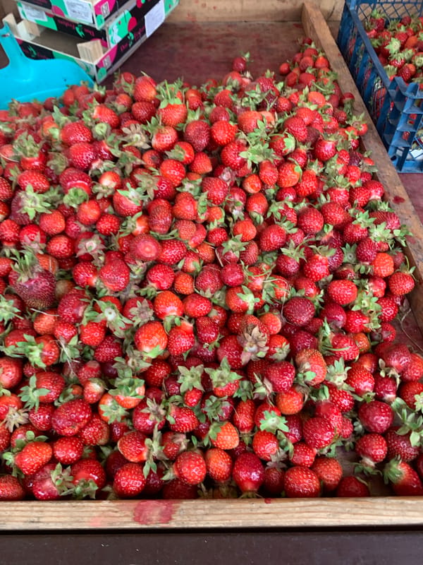 Summer market in Minsk: fresh berries, mushrooms, and bronze sculptures
