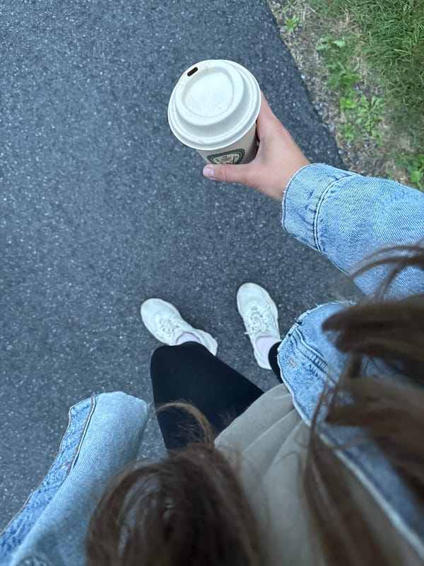 Evening stroll in Gatineau with a bamboo coffee cup in hand