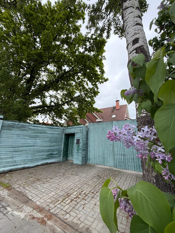 Spring blooms observed in Strelna, Russia