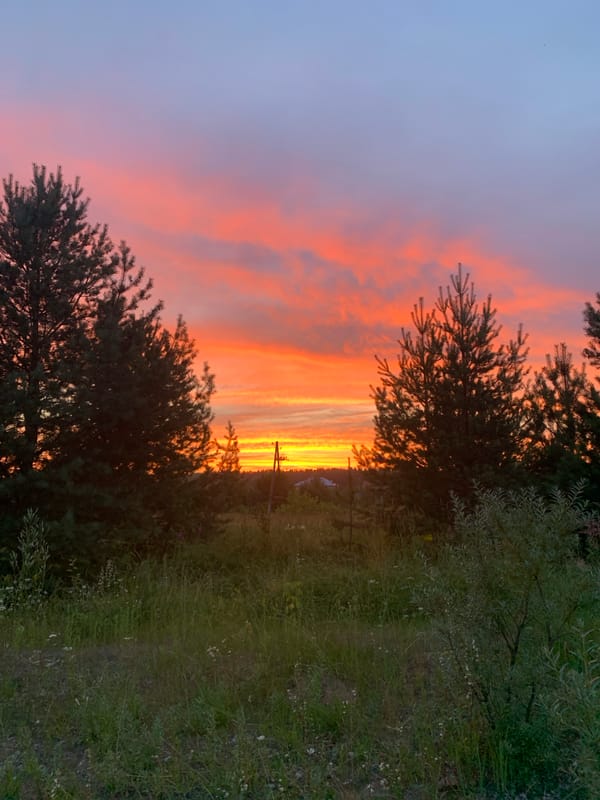 Sunset over fields and treelines in rural Sergeevo, Russia