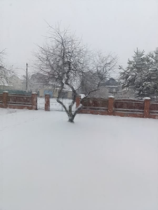 Early morning domestic moments captured during winter weather