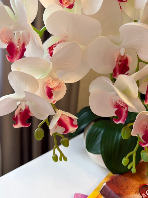 Artificial white orchids with pink centers, shot up close