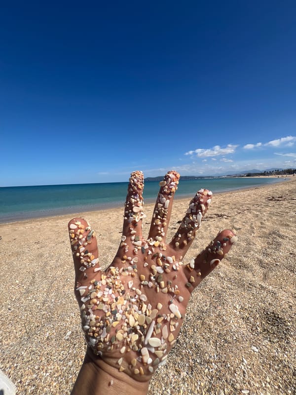 Beach day documented in M'Diq, Morocco with shell collecting