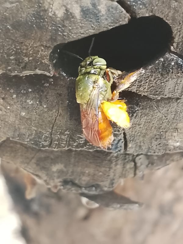 Quiet domestic life documented in Altagracia, Venezuela