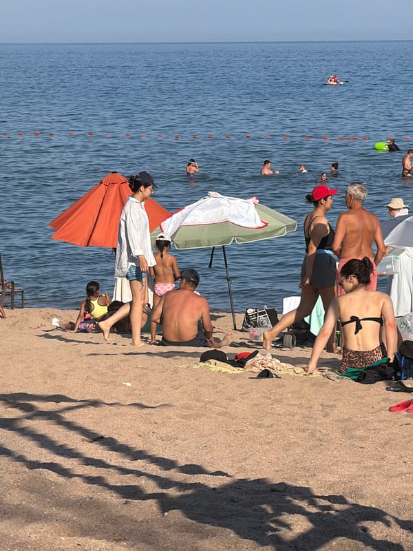 Sunny beach day with paddleboarding, swimming, and lounging
