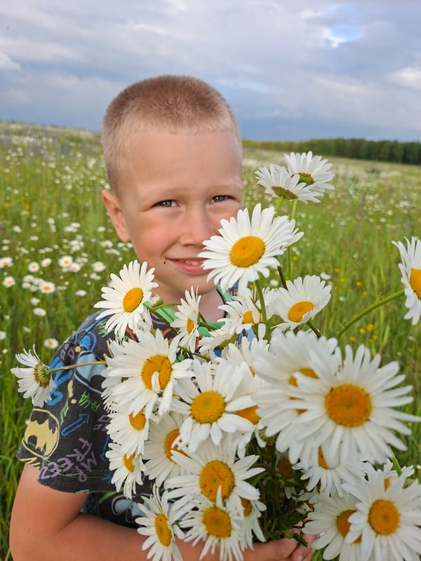 Wildflower meadow afternoon near Karsha, Russia