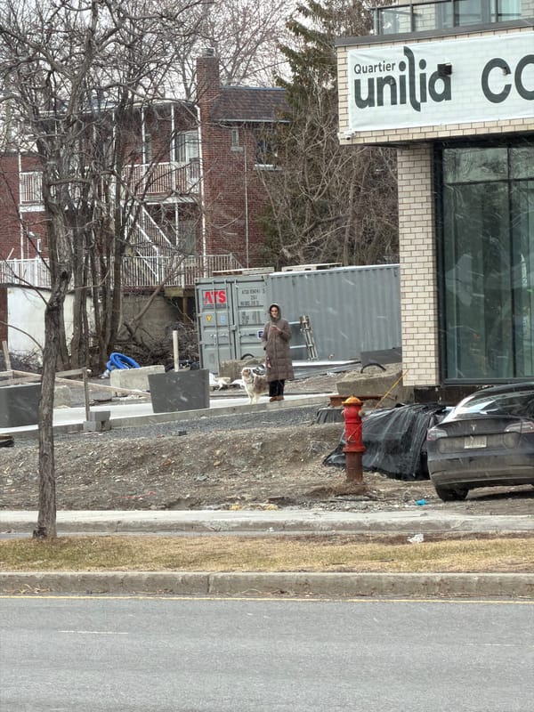 Woman walks white dog near construction site in Laval