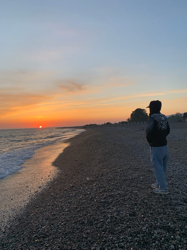 Sunset beach visit with dogs captured in Inkiti, Abkhazia