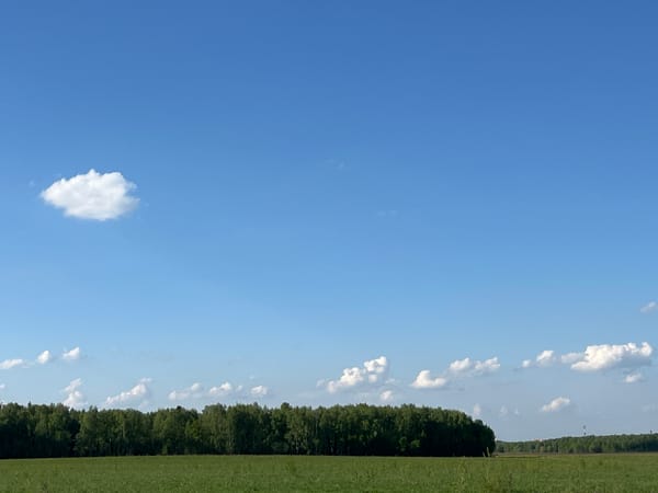 Green field and tree line observed under blue skies