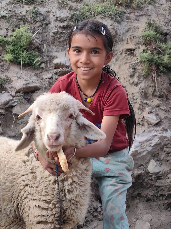 Village life and high-altitude scenery in Gondhla, Lahaul