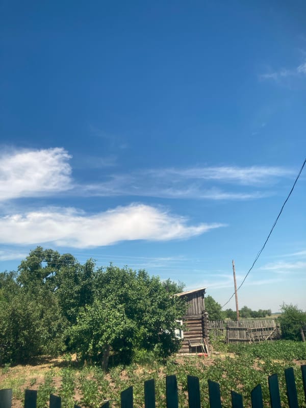 Summer morning at a rustic rural property in Rakity, Russia