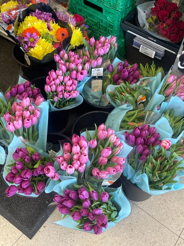 Spring afternoon scenes documented in Maidstone parkland