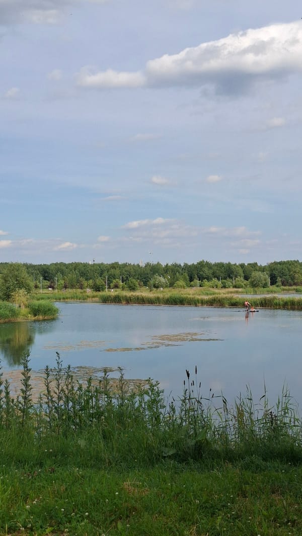 Lazy summer afternoon at a Saint Petersburg lakeside park