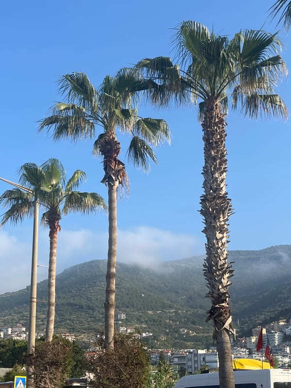 Tourist captures sunny morning scenes across Alanya, Turkey