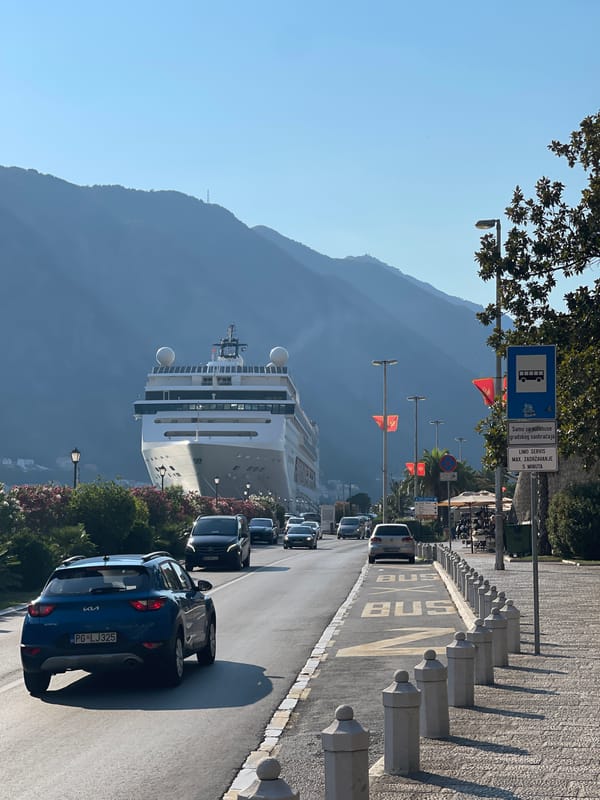 Kotor old town: cruise ship, stone alleys, ivy walls