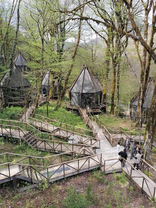 Forest resort cabins documented in Medoveevka, Russia