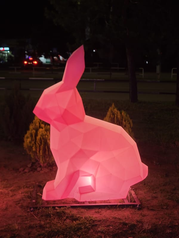 Evening walk through illuminated festival displays in Horishni Plavni