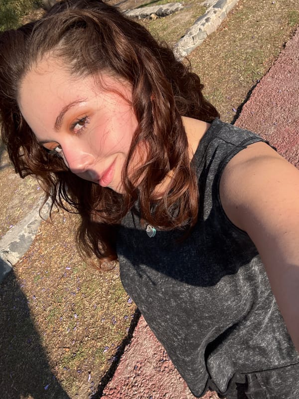 Spring evening moments captured across Mexican parks with jacaranda blooms