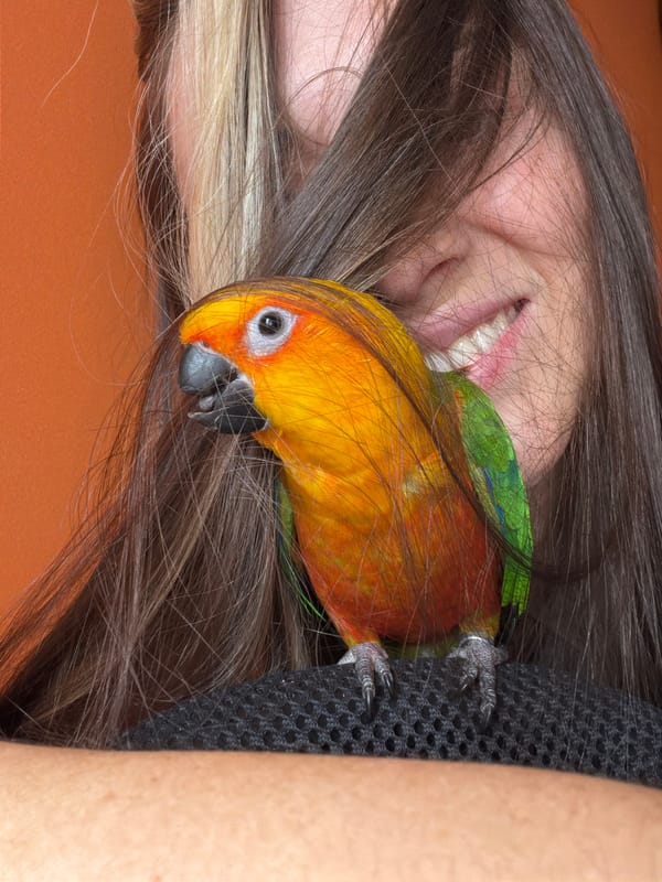Woman poses with colorful parrot in Khimki, Russia