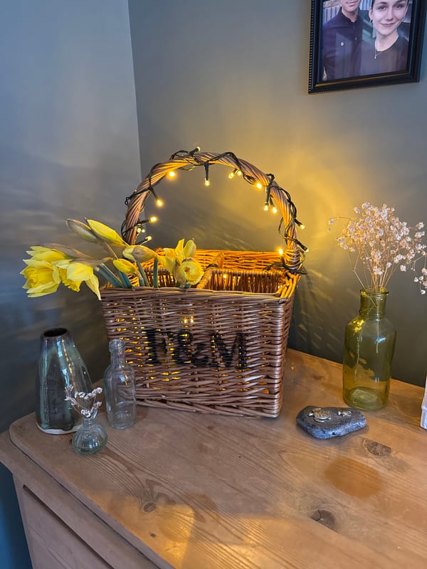 Spring daffodil display with fairy lights captured in East Suffolk