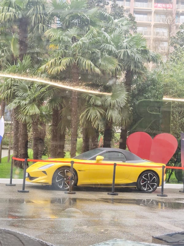 Routine street scenes documented across Sochi during overcast morning