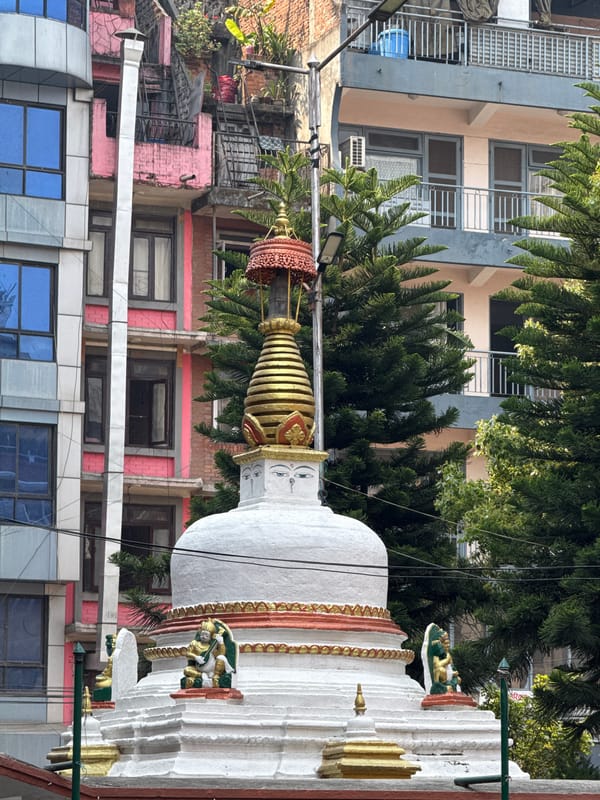 Witness captures traditional architecture and commerce in Kathmandu