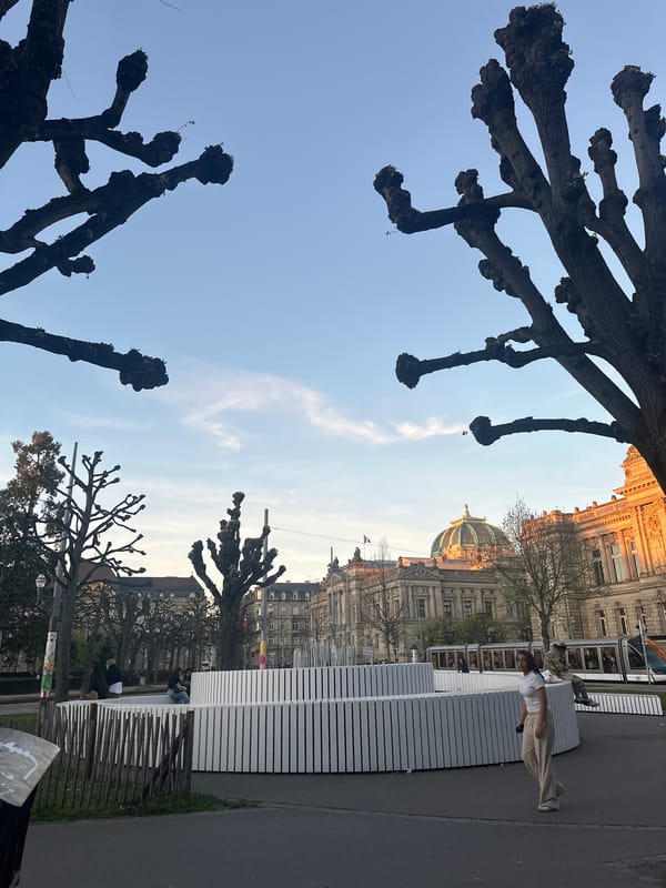 Routine street scenes documented in central Strasbourg