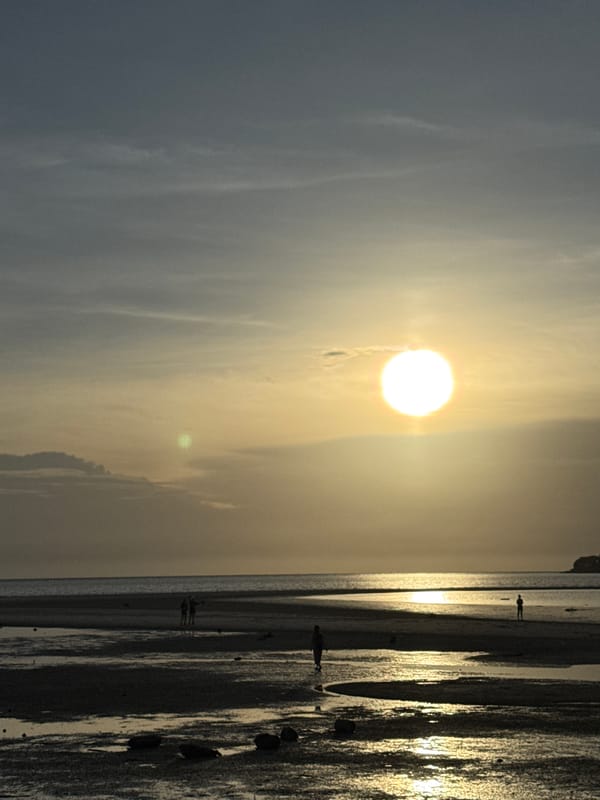 Sunset strollers and dogs enjoy peaceful evening on Koh Phangan beach