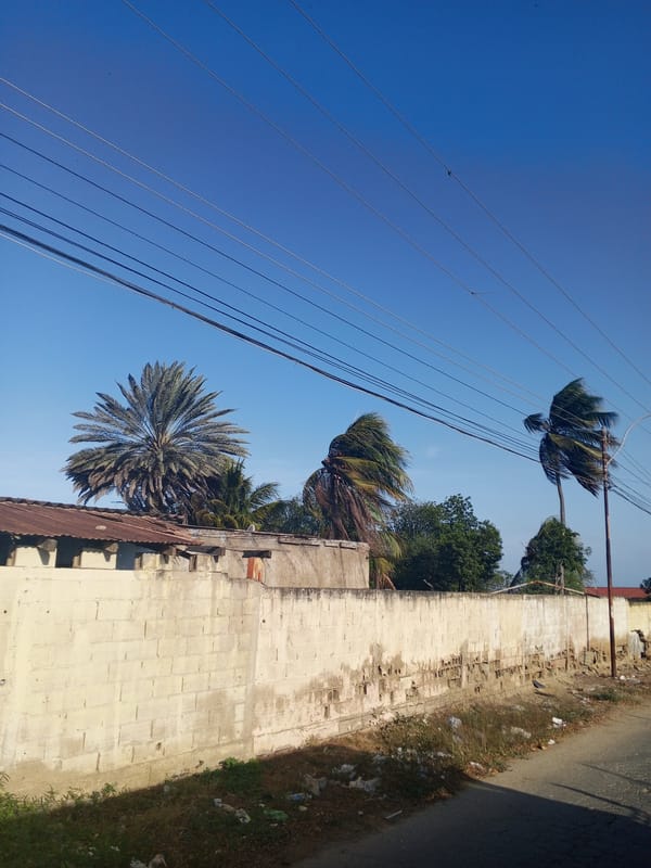 Street scenes documented in El Dátil, Venezuela