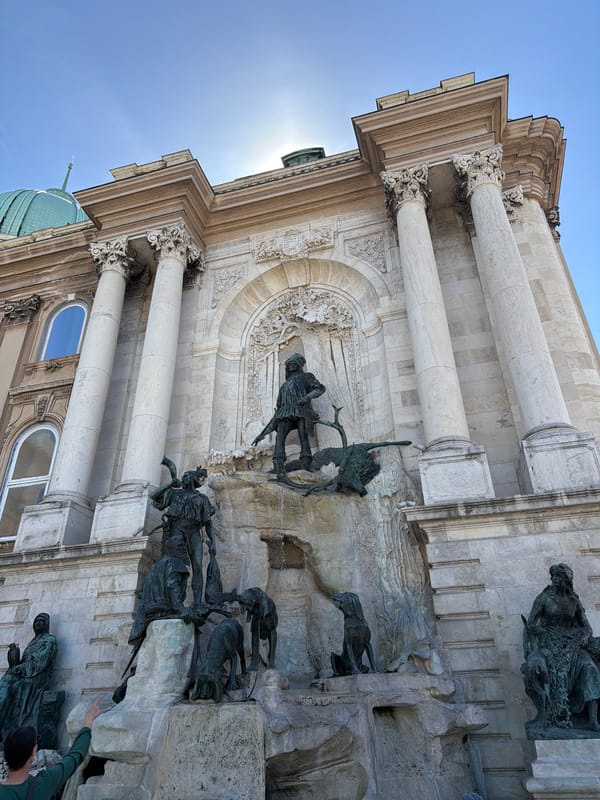 Tourist Documents Buda Castle Architecture During Morning Visit