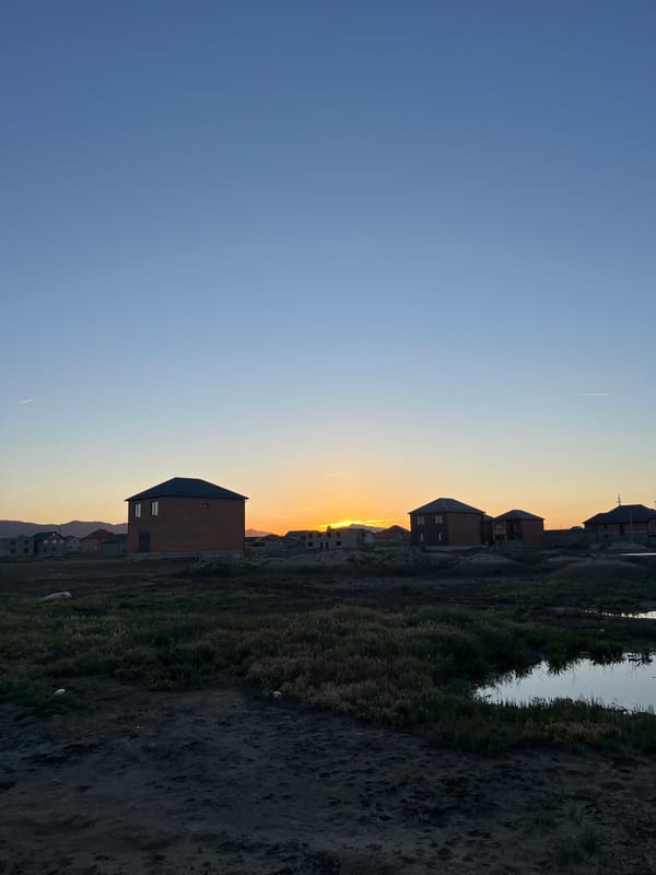 Rural life documented in Kaspiysk: birds, drought, flowers