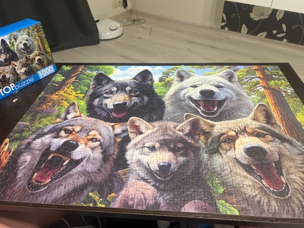 1000-piece wolf puzzle completed in Chaikovsky, Russia
