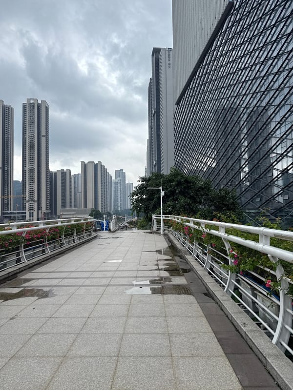 Rainy morning walk along Tianhe's flower-lined pedestrian bridge