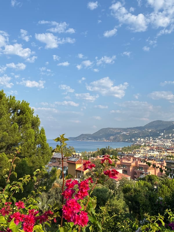 A July morning in Alanya, flowers, cable cars, and city views