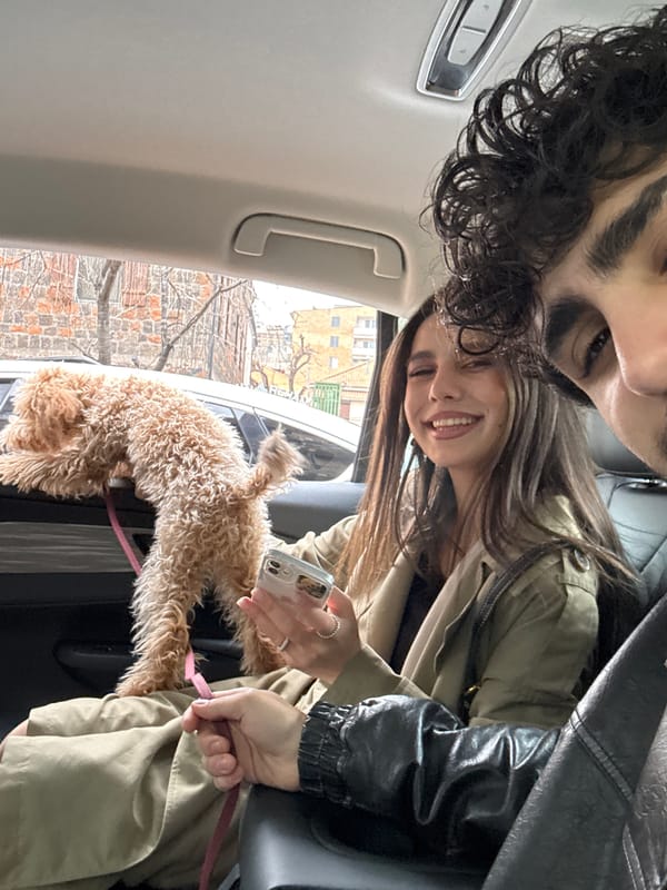 Couple travels with poodle through Yerevan streets
