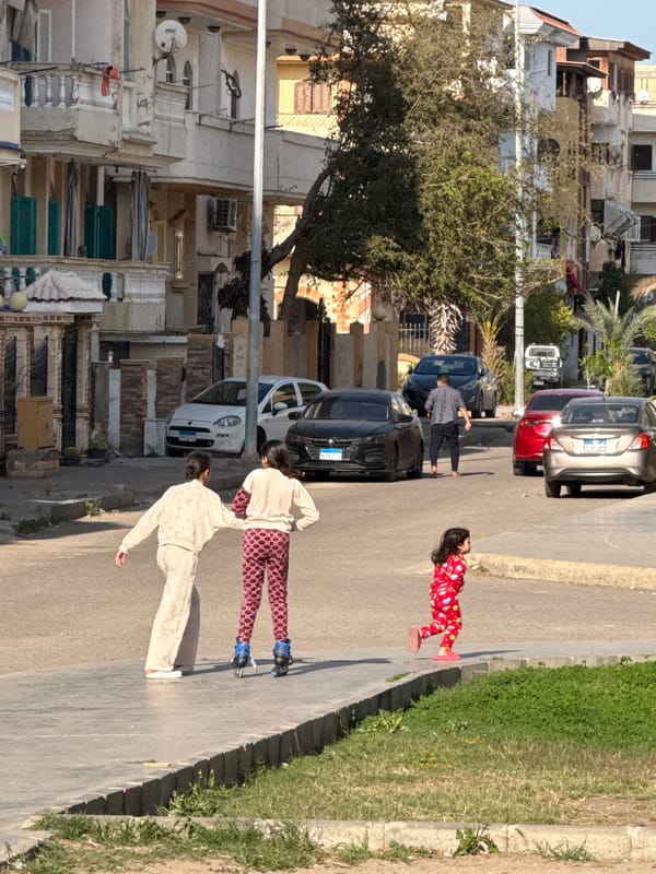 Afternoon life documented in New Damietta neighborhoods