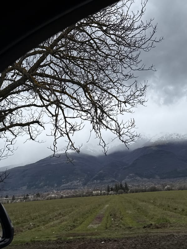Morning commute through Bulgarian countryside captured from vehicle windows