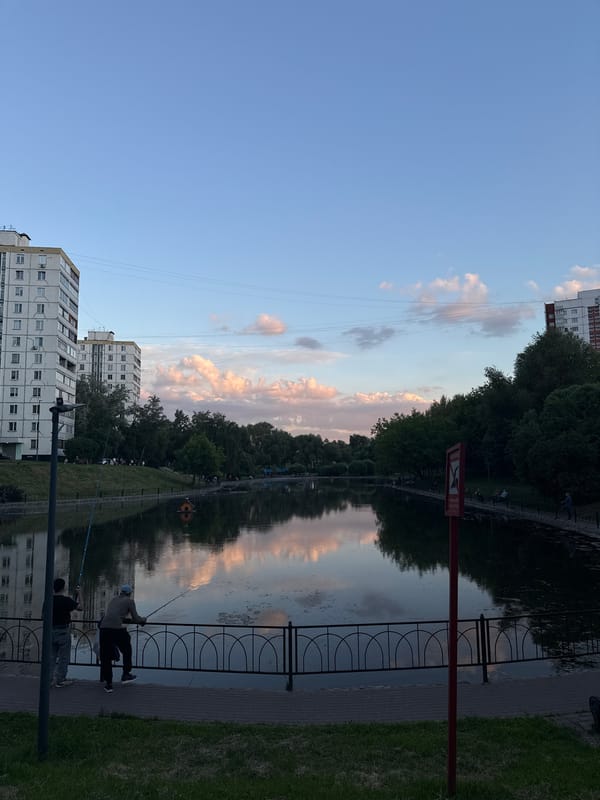 Evening dog walk captured in Moscow park amid poplar fluff