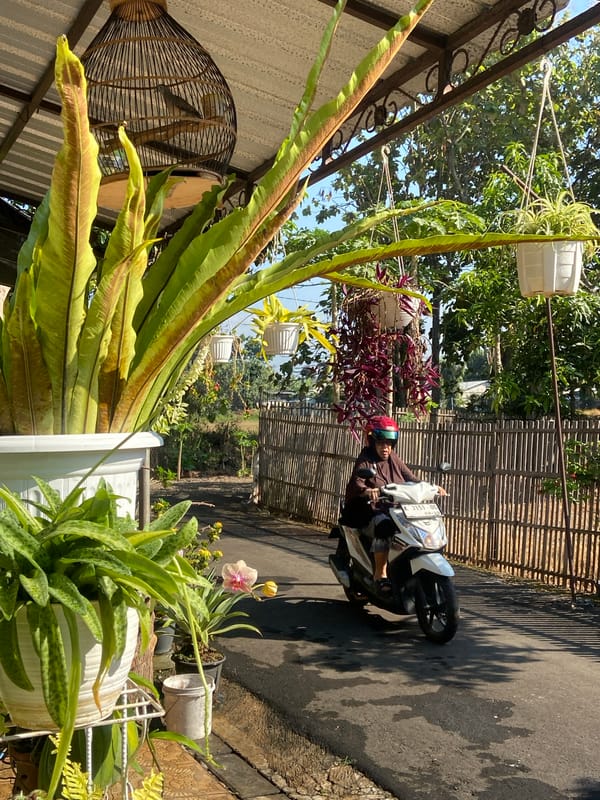 Event