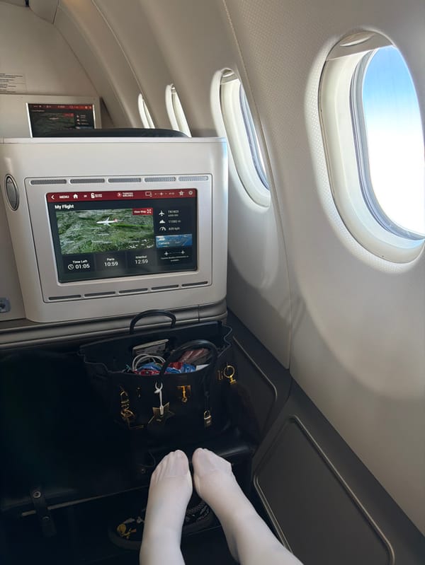 Turkish Airlines passenger documents in-flight entertainment screen over Germany