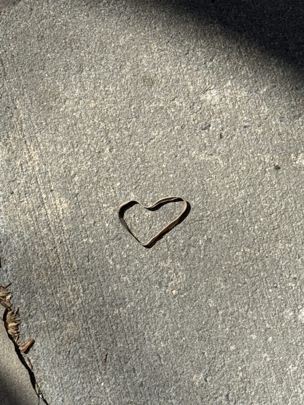 Heart-shaped wire formation spotted on NYC concrete surface