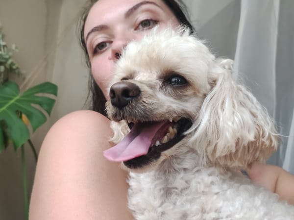 Afternoon at home in Chaikovsky: poodle selfies and stormy skies