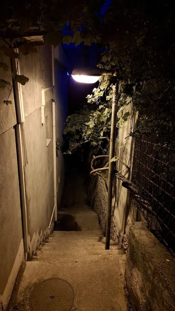 Dusk settles over Boreti's stone streets and stairways
