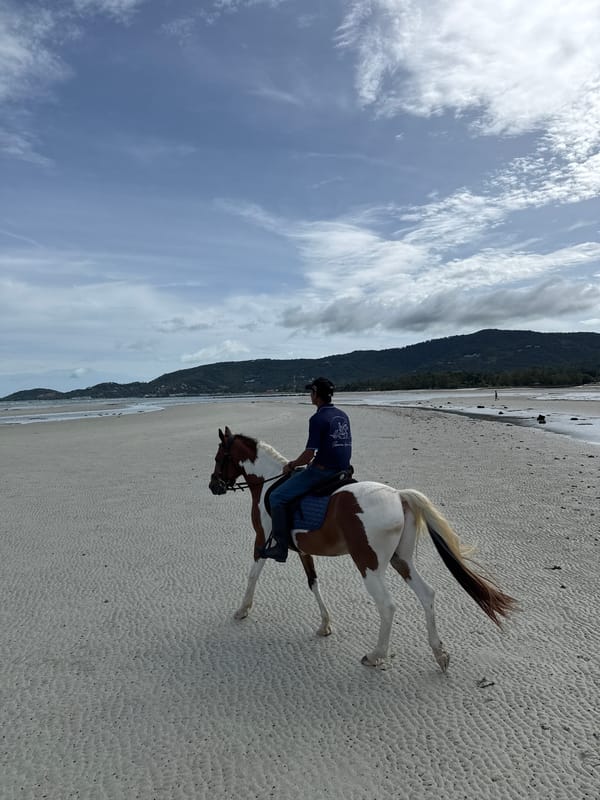 Horseback riding along the Ko Samui shoreline