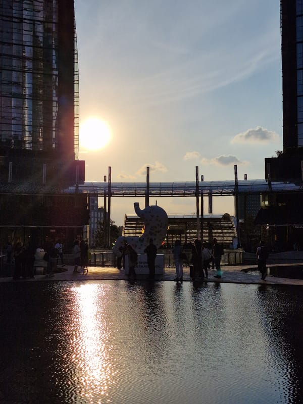 Golden sunset observed along Milan waterfront