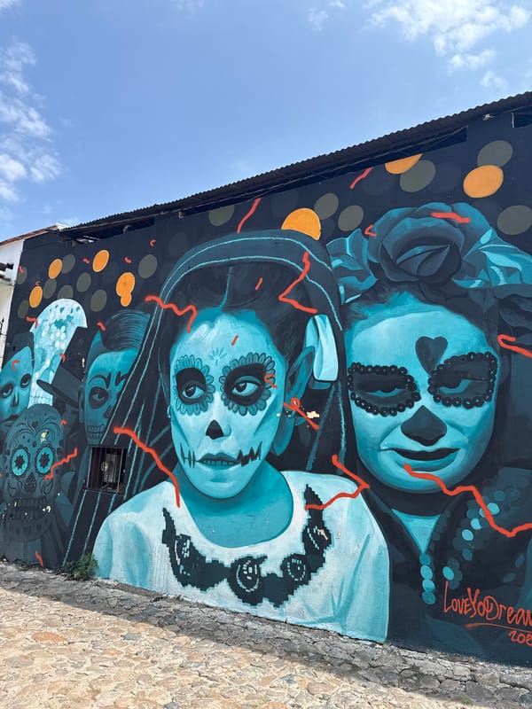 Day of Dead murals documented across Oaxaca City streets