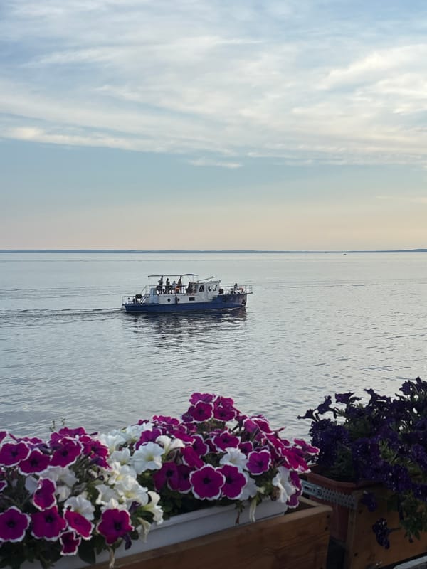 Tolyatti riverfront at golden hour, boats and blooms