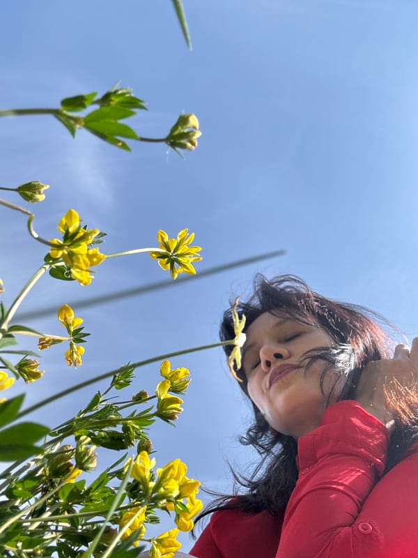 Sunny morning out in Chaikovsky with flowers and landmarks