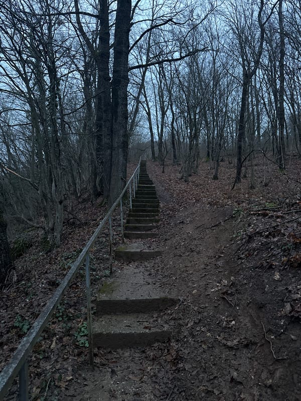 Concrete stairs wind through wooded area in Lovech